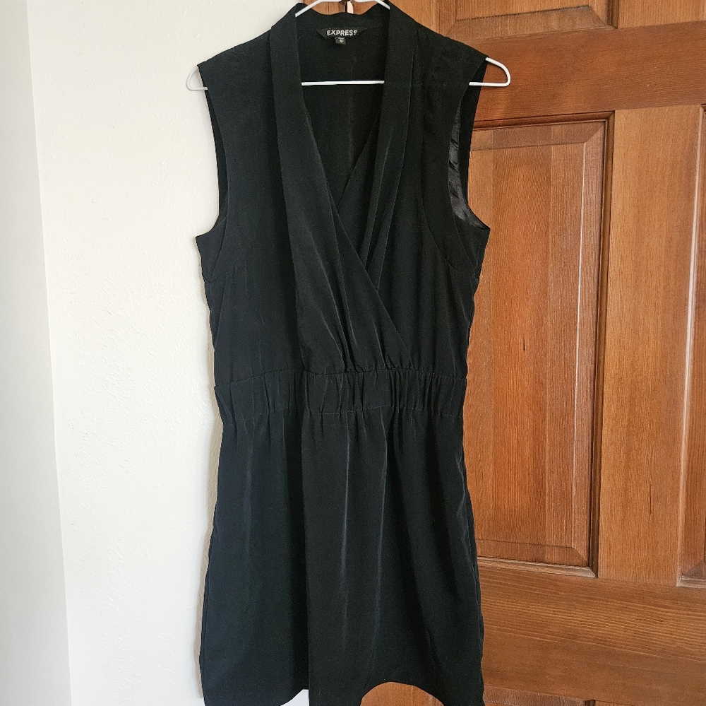 Express sleeveless dress